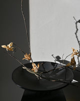 101 Copenhagen Medusa Tray, Big, Coffee (view 4)