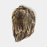 Pullcast Nile Drawer Handle
