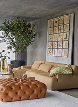 Meridiani Norton Sofa, view 6