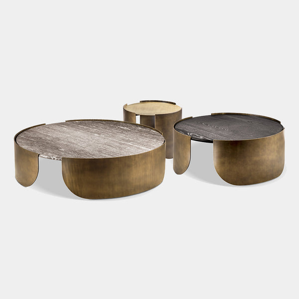 Elegant metal and wood coffee table for luxury interiors