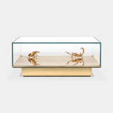 Boca do Lobo Metamorphosis Center Table, front view of the glass section