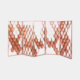 Brabbu Koi Screen