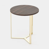Laskasas Dili Side Table in Smoked Eucalyptus Veneer Matte, third view