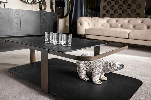 Sophisticated Interior Design Furniture - Steel and Wood Coffee Table