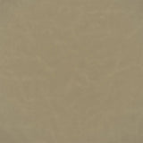 Designers Guild Matara II Lucida Biscuit FDG2889/04
