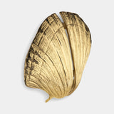 Pullcast Seashell Handles and Door Pulls