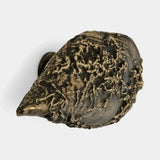 Pullcast Coral Drawer Handle
