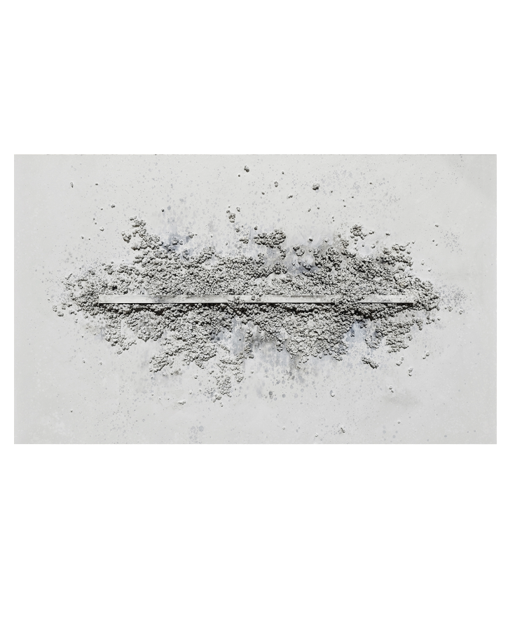 Ligne Claire Canvas Artwork