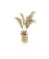 Laskasas Gold Flower Pot