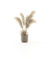 Laskasas Gold Flower Pot