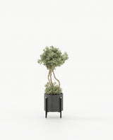 Laskasas Rosie Flower Pot