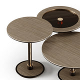 Aster Sister Coffee Table, view 3
