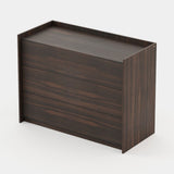 Laskasas Endy Chest of Drawers in Smoked Eucalyptus Veneer Matte, third view