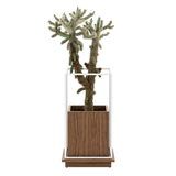 Laskasas Lanie Flower Pot — 44 x 44 x 80cm — Walnut