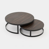 Laskasas Lua Coffee Table in Smoked Eucalyptus Veneer Matte, third view