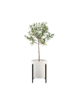 Laskasas Rosie Flower Pot — Ø50 x 60cm — White