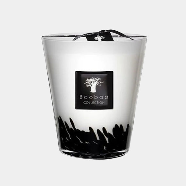 Baobab Collection Max 16 Candle Feathers