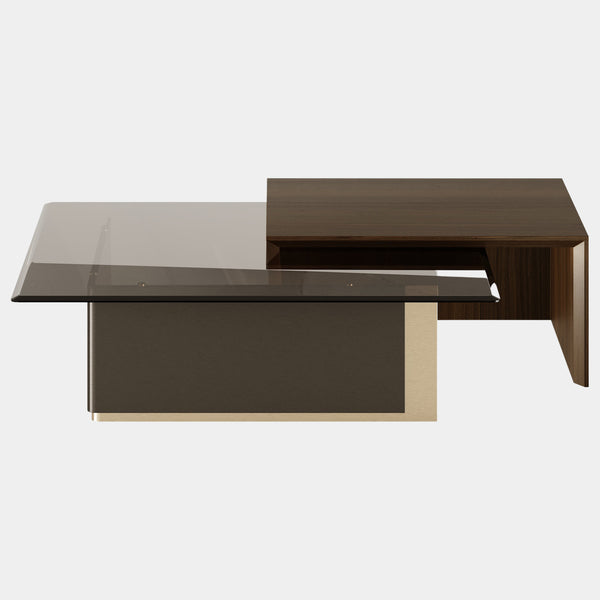Inspired by modern architecture, the Robert Center Table is a combination of fluid clean lines and materials. The brass on the foot is involved by a thin wood layer, offering support to a rectangular surface made out of glass. Embellishing the design, it arises a beautiful wood structure protecting the vulnerability of the interior structure.