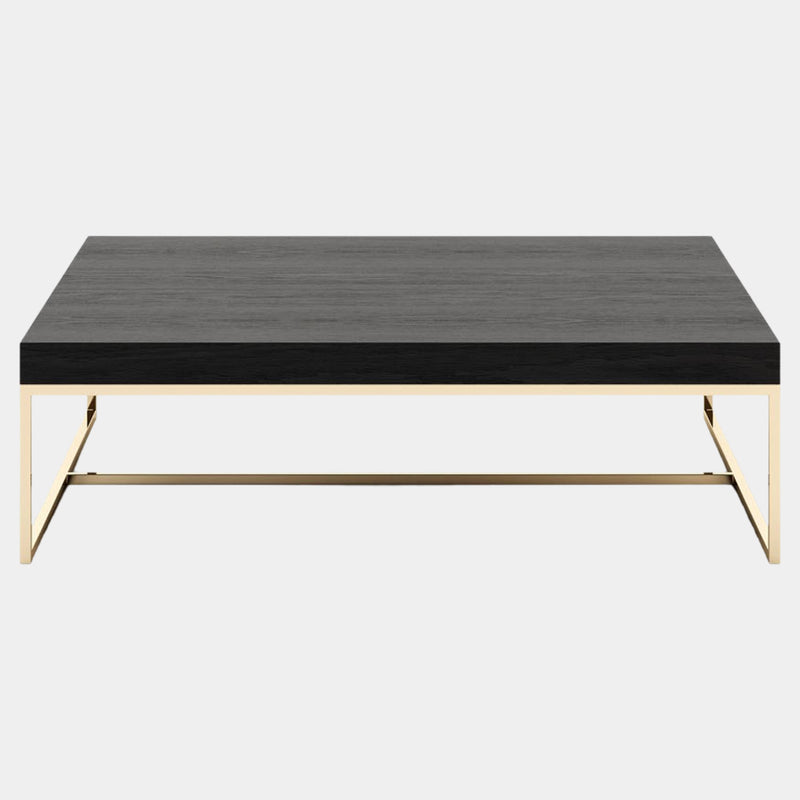 Mazzini Black Ash Coffee Table with Golden Legs