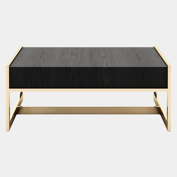 Romano Riina Luxury Coffee Table with Black Ash Wooden Top