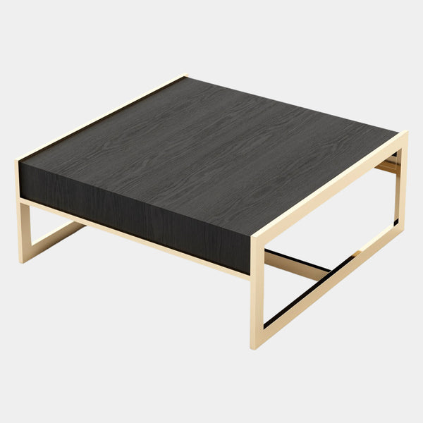 Romano Riina Luxury Coffee Table with Black Ash Wooden Top